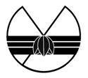 waso（株式会社snowdrop）